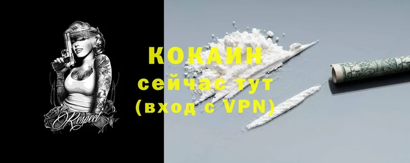 купить закладку  Городовиковск  Cocaine Fish Scale 